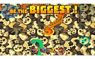 Play Angry Snake online free