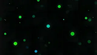 Play Dot and Box online free