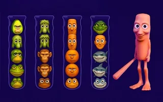 Play Brainrot Mind Puzzle Sort Challenge online free