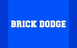 Brick Dodge