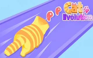 Play Cat Evolution online free
