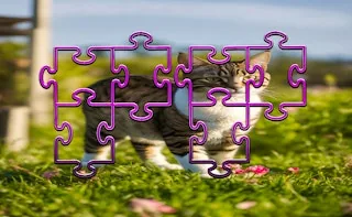 Play Cat Jigsaw Puzzle Frenzy online free