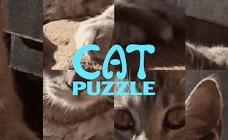 Play Cat Puzzle online free