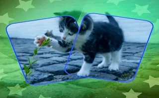 Play Cat Puzzle Memory Match online free
