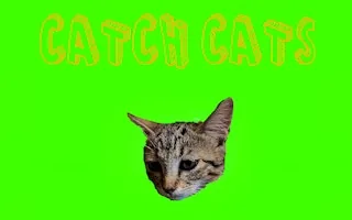 Play Catch Cats online free