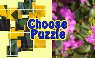 Play Choose Puzzle online free