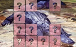 Play Crocodile Memory Match online free