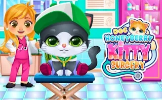 Play Doc HoneyBerry Kitty Surgery online free