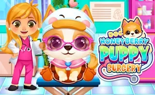 Play Doc HoneyBerry Puppy Surgery online free