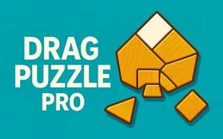 Play Drag Puzzle Pro online free
