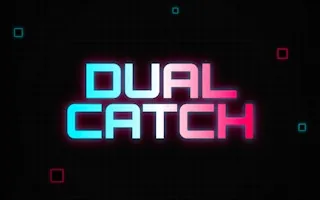 Play Dual Catch online free
