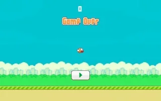 Play Flappy Bird 2D Game online free