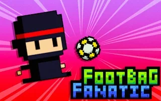 Play Footbag Fanatic online free