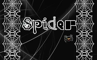 Play Funny Spider online free