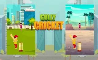 Play Gully Cricket online free