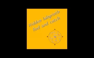 Play Hidden labyrinth - find and catch online free