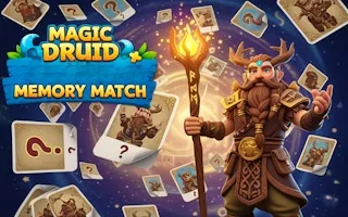 Play Magic Druid Memory Match online free