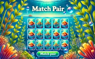 Play Match Pair online free