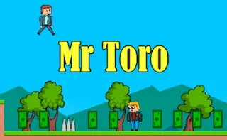 Mr Toro