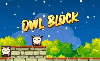 Play Owl Block online free