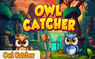 Play Owl Catcher online free