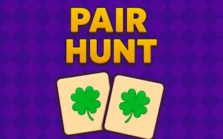 Play Pair Hunt online free