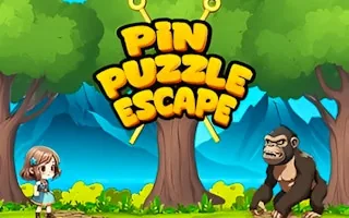 Play Pin Puzzle Escape online free