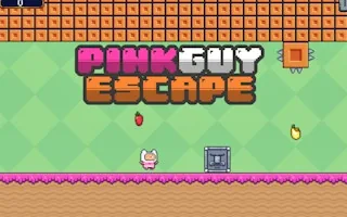 Play Pink Guy Escape online free