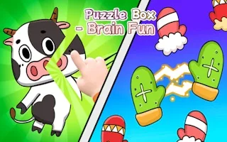 Play Puzzle Box Brain Fun online free