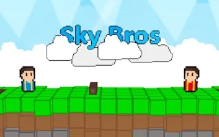 Play Sky Bros - 2 Players online free