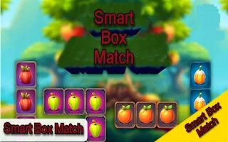 Play Smart Box Match online free