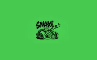 Play Snake 33 10 HTML5 online free