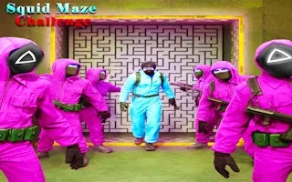 Play Squid Maze Challenge online free