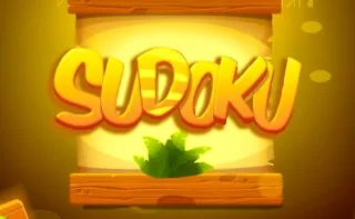 Play Sudoku Levels online free