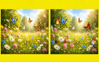 Play The Difference online free
