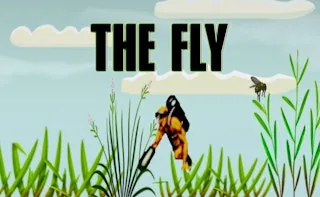 Play The Fly online free