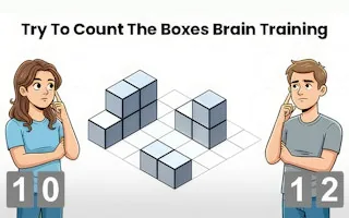 Play Try To Count The Boxes Brain Training online free
