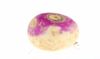 Play Turnip online free