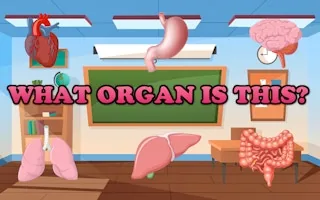 Play What Organ Is This? online free