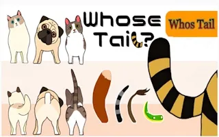Play Whose Tail online free