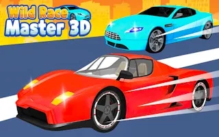 Play Wild Race Master 3D online free