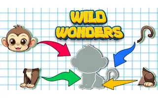 Play Wild Wonders online free